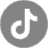 tiktok-gray-circle-round-23168 (1)